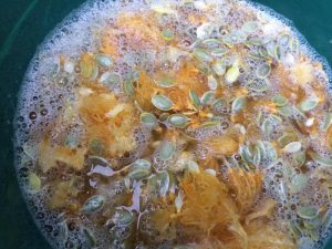 Gewässertes Fruchtfleisch und Kerne der reifen Zucchini zur Trennung von Fruchtfleisch und Kernen vor der Gärung